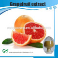 GMP Fornecedor Preço de baixo Grapefruit Seed Extract